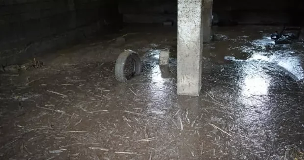 Siirt haberleri Siirt te sağanak sonrası facia: 35 küçükbaş akıntıya kapılarak telef oldu 19 Nisan 2026