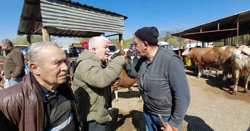 704 kiloluk dana için dakikalarca pazarlık yaptılar