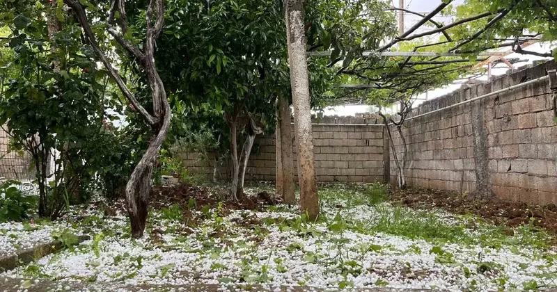 Mardin’de dolu sürprizi