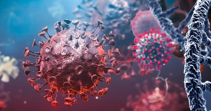 Bahreyn, ebola salgını nedeniyle 3 Afrika ülkesinden girişleri durdurdu