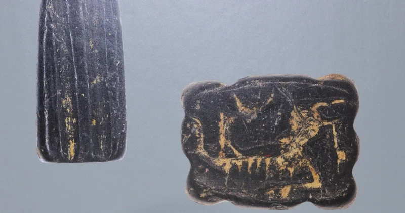 Binlerce yıllık mühürler makro fotoğrafla gün yüzüne çıktı
