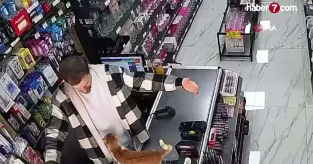 Esnafın hayat kurtaran şefkatine kediden her gün vefa sarılması