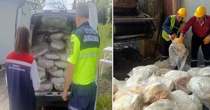 Tekirdağ da uygunsuz koşullarda taşınan 1,2 ton sakatat el konularak imha edildi