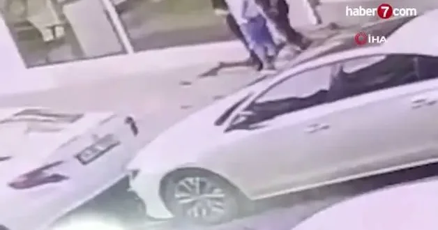 Arnavutköy de köpek sevme tartışması tekmeli yumruklu kavgaya dönüştü