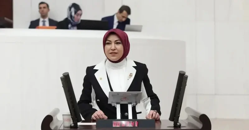 AK Partili Milletvekili Rukiye Toy, TBMM’de DİLİM Projesini anlattı