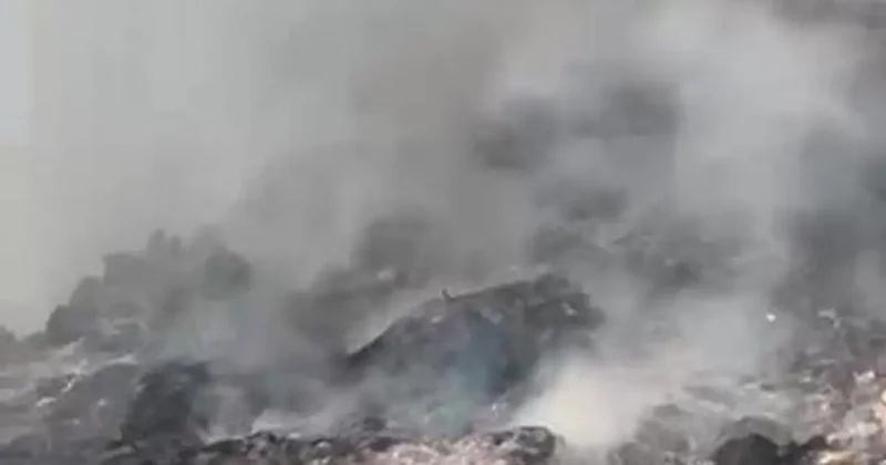 Çöp döküm alanındaki yangın ormana sıçradı