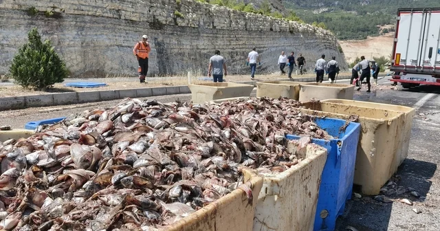 Seyir halindeki tırın dorsesi patladı, 15 ton balık atığı yola saçıldı Mersin Haberleri Habertürk Yerel Haberler