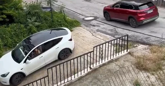 Türkiye’nin en meşhur yokuşunda dev düello: Tesla’nın havlu attığı dik rampada TOGG şov yaptı VİDEO İZLE