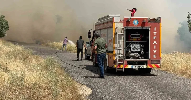 Diyarbakır’da ekili arazide yangın: Yüzlerce dönüm buğday tarlası kül oldu