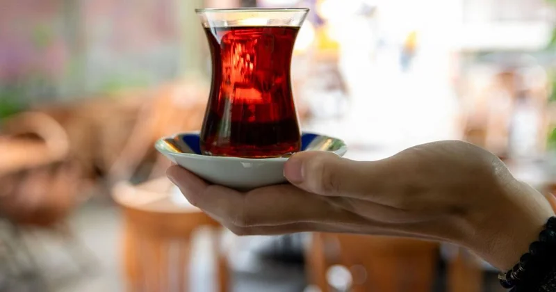 Şırnak ta balkonda 2 metrelik yılan paniği