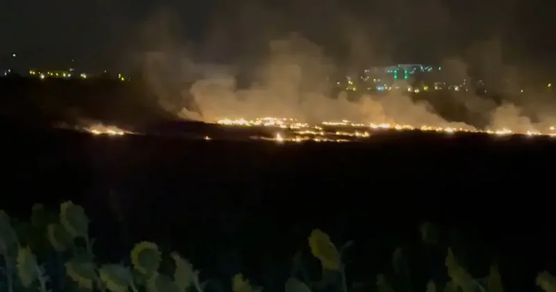 Osmaniye de anız yangını