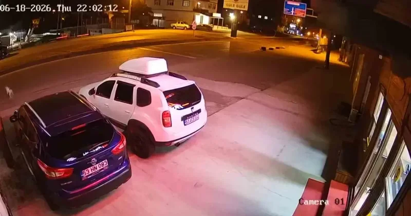 Köpeğe çarpmamak için yaptığı manevra hayatına mal oldu