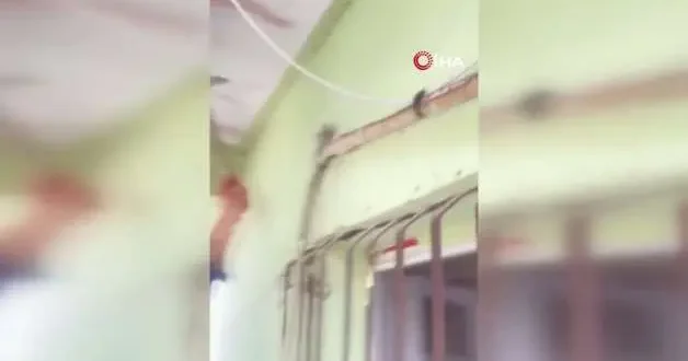 Yılanı yakalayıp yılanla konuştu: Sevgili yılan, insanlardan uzak dur
