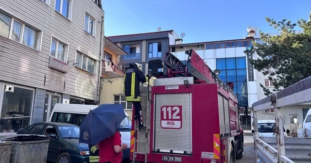 Erzincan da karga ailesi yavrusu için kedilere ve insanlara meydan okudu Erzincan Haberleri Habertürk Yerel Haberler