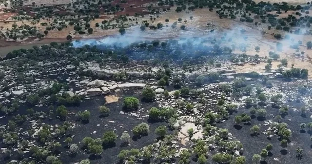 Diyarbakır ın Eğil ilçesinde çıkan örtü yangını söndürüldü VİDEO İZLE