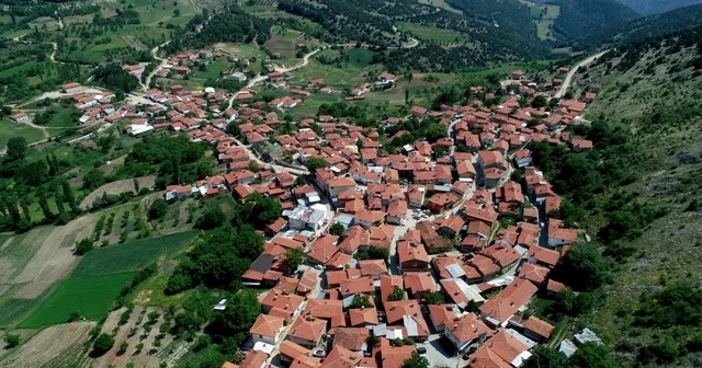 Köylülerin ürettiği peynir coğrafi işaret tescili aldı Bursa Haberleri Habertürk Yerel Haberler
