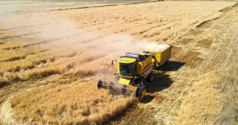 Geçen yıl kuraklık vurmuştu... Bu yıl yüzde 50 artış bekleniyor