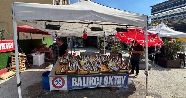 Balıkçı esnafından yeni sezon müjdesi, Bu sene denizden balık fışkıracak Zonguldak Haberleri Habertürk Yerel Haberler