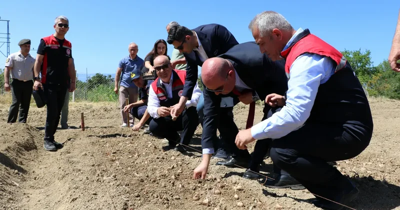 80 bin çiçekten sadece 500 gram elde ediliyor: Kilosu 600 bin lira