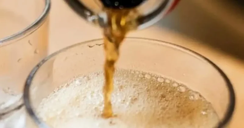 Mide kanseri riskini 2 kat birden artırıyor! Tüketmeyi bırakın