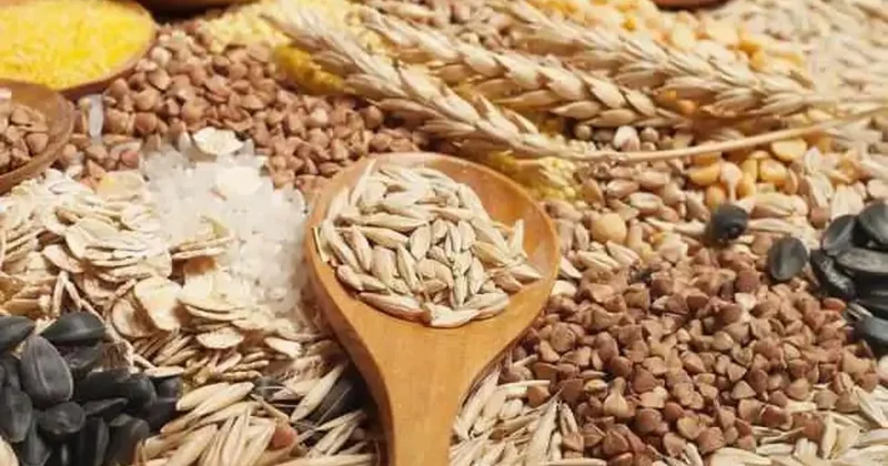 Tarladan dünya sofralarına: Güneydoğu 2,2 milyar doları aştı!