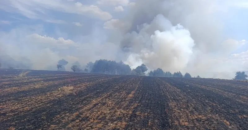 Emet te ormanlık alana sıçrayan yangın kontrol altına alındı
