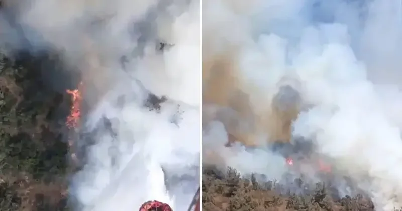 Balıkesir de kamyondaki yangın ormana sıçradı