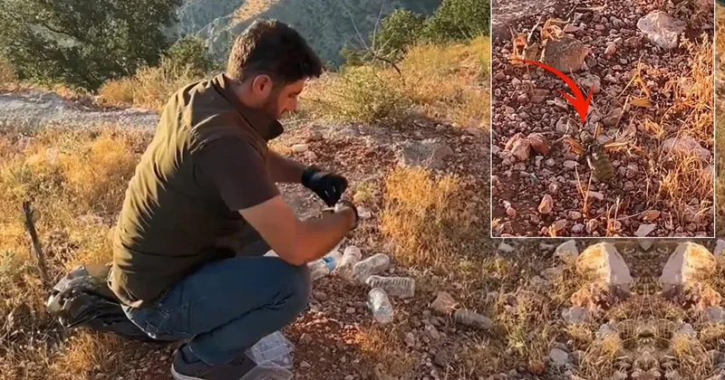 Yabancılarına İzin Verilmiyor: 1,4 Milyon Ceza