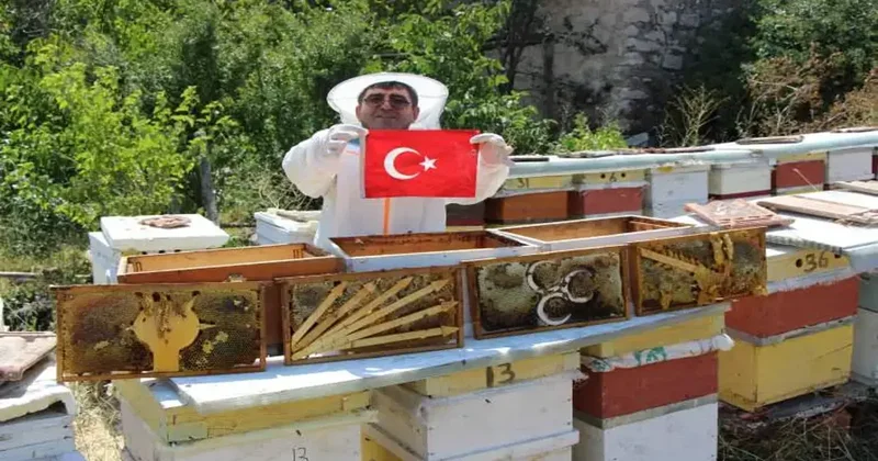 Bu seçimi arılar belirledi! 4 partinin kıyasıya yarışı sonuç verdi