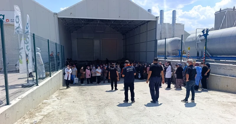 Domates serasında 40 kişi zehirlendi! Son dakika haberleri
