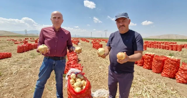 Karaman da yazlık soğan üreticisinin yüzünü güldürüyor Ziraat Odası Yönetim Kurulu Başkanı Mehmet Bayram: Müstahsil 2 yıldır üretilen bu soğandan zarar ediyordu Karaman Haberleri Habertürk Yerel Haberler