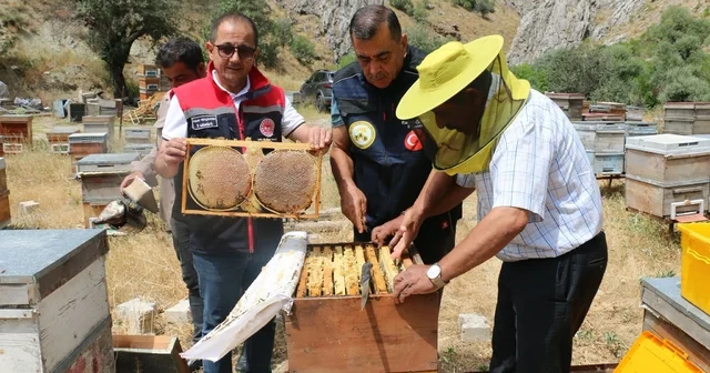 Erzincan da bal hasadı başladı: Bin 500 ton rekolte bekleniyor Erzincan Haberleri Habertürk Yerel Haberler