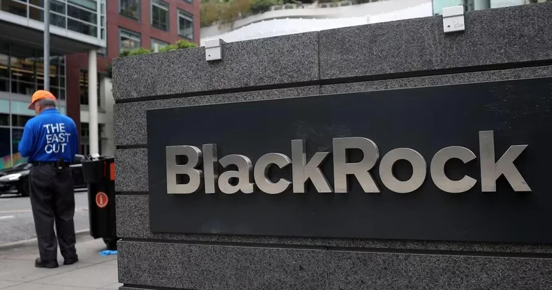 BlackRock Bitcoin deki düşüşün nedenini açıkladı