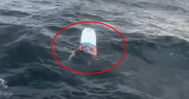 Denizde can pazarı; SUP board tahtası ile açığa sürüklenen baba ile kızı 5 saat sonra kurtarıldı Yalova Haberleri Habertürk Yerel Haberler
