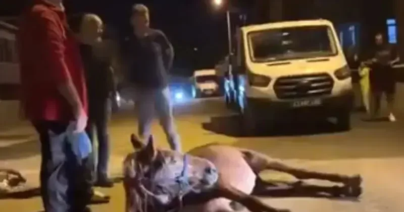 Ata şiddet uygulandığı iddiası; 2 şüpheli gözaltında