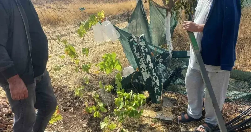 Kimliği belirsiz kişiler bahçe tellerine zarar verdi