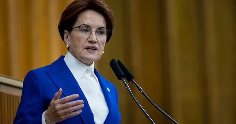 Meral Akşener vakıf kurdu! İşlemler tamamlandı, logosu belli oldu