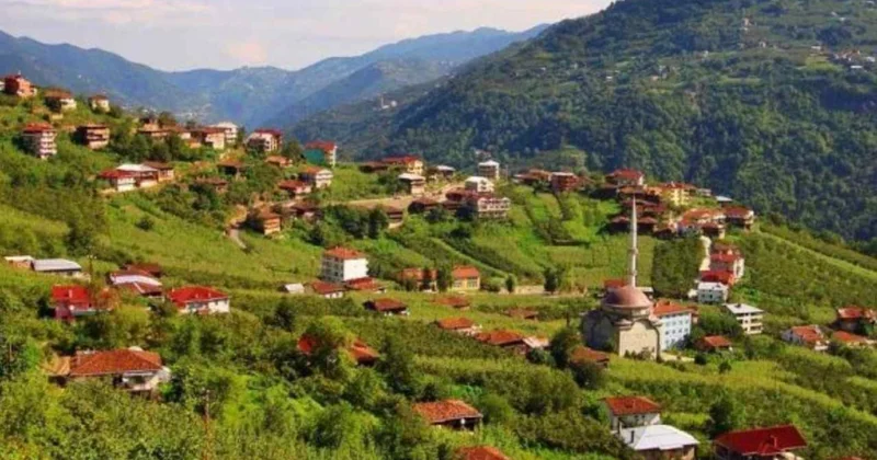 Türkiye’nin bu köyündeki her evden profesör çıkıyor: Tam 100 akademisyen ve 300 doktor yetiştirdiler Sözcü Gazetesi