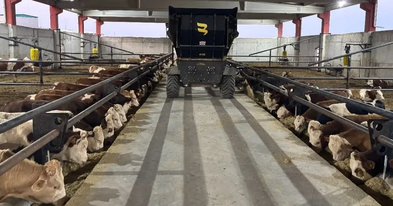 Şanlıurfa et üretim üssü oluyor! 5 bin kişiye istihdam sağlanacak