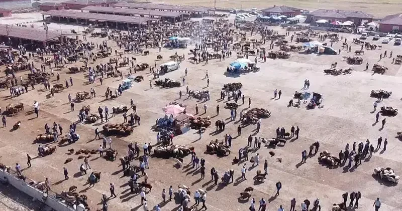 Ağrı Hayvan Borsası 30 gün süreyle kapatıldı