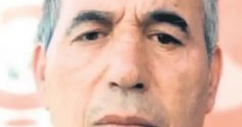 İncir ağacındaki yılan öldürdü