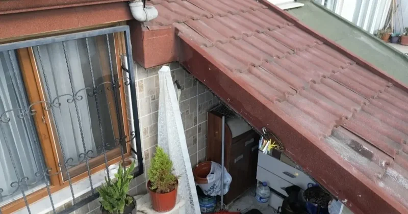 Sultangazi’de çatı katını arılar bastı: Arıların soktuğu kadın hastanelik oldu