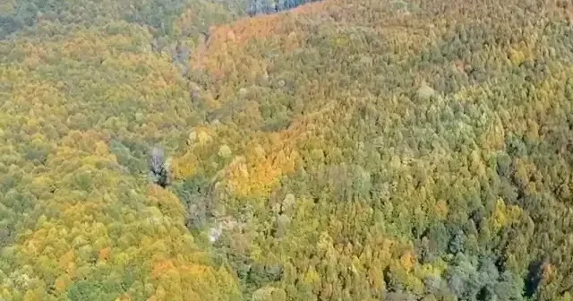 Bolu Dağı Tüneli çevresi sonbahar ile birlikte görsel şölene dönüştü VİDEO İZLE
