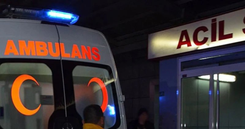 Kahramanmaraş ta arı sokması can aldı
