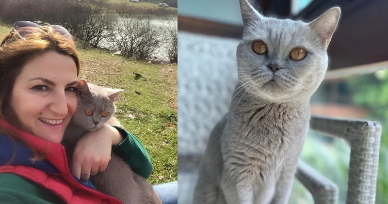 İzmir de mucize: Kedisi sayesinde meme kanseri olduğunu fark etti, hayatı kurtuldu