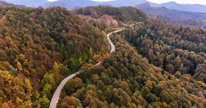 Düzce, Sakarya ve Bolu... Sonbaharın tonları doğayı renklendirdi