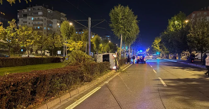 Ağacı devirip yan yattı, yara almadan kurtuldu