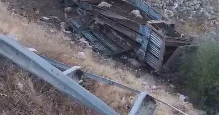 Bingöl’de hayvan taşıyan kamyon şarampole yuvarlandı