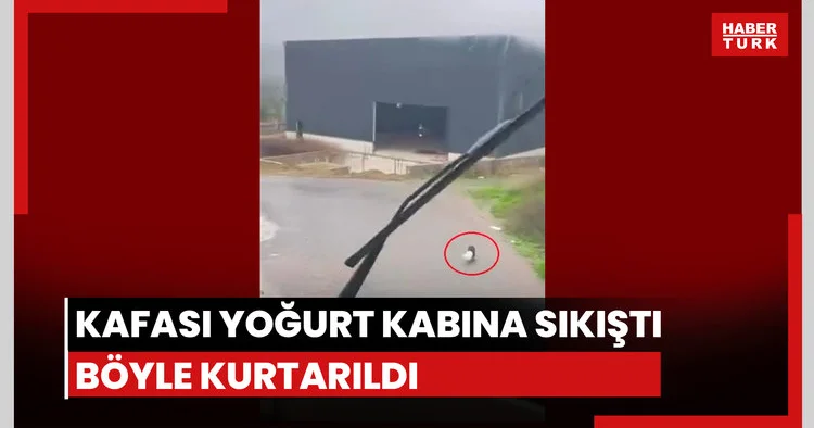 Yavru köpeği böyle kurtardı
