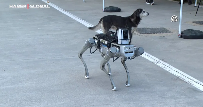 Milli robot köpek Proteo, 2026 başında göreve hazır olacak